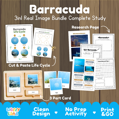 Barracuda 3-in-1 real image bundle complete study cover showing cut and paste life cycle, 3 part cards, and research pages
