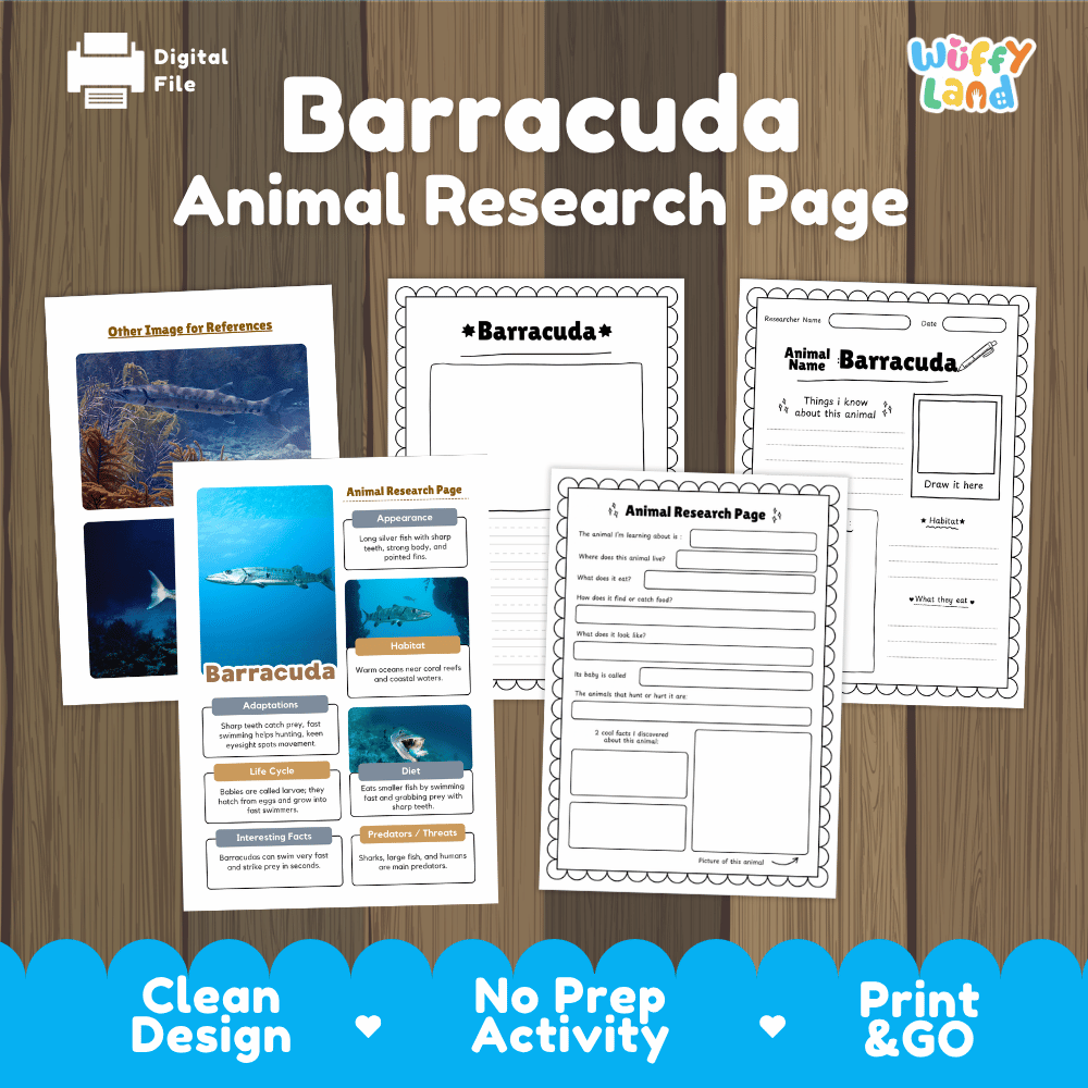 Barracuda Animal Research Page Worksheets