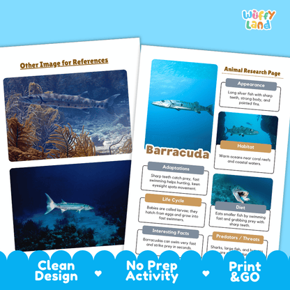 Barracuda Animal Research Page Worksheets