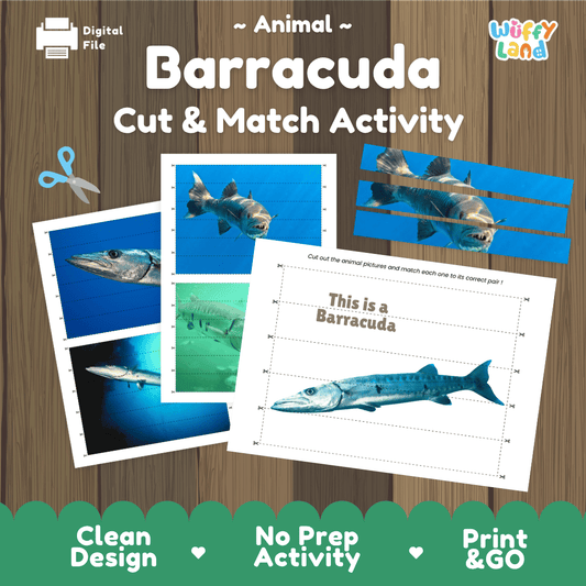 Barracuda Cut and Match Activity Worksheets | Ocean Fish Animal Puzzle Printables