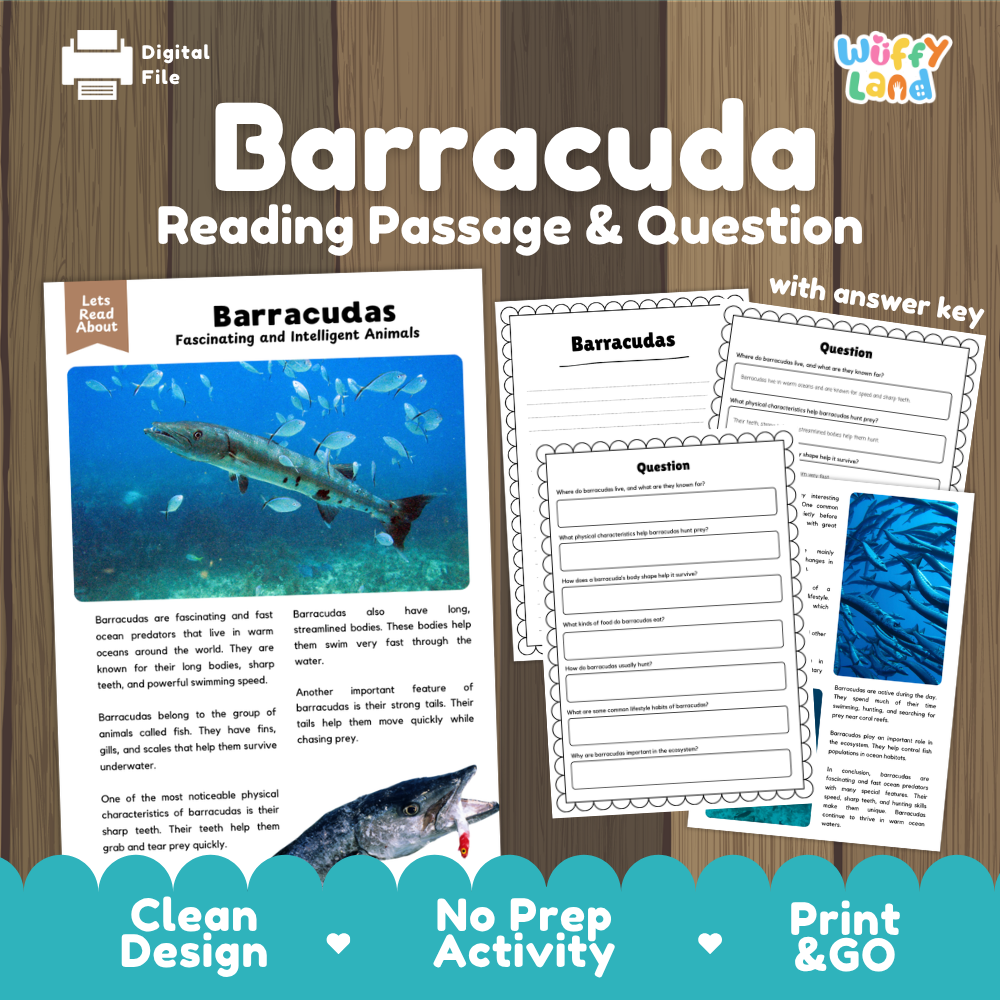 Barracuda Reading Passage and Comprehension Questions with Answer Key Worksheets