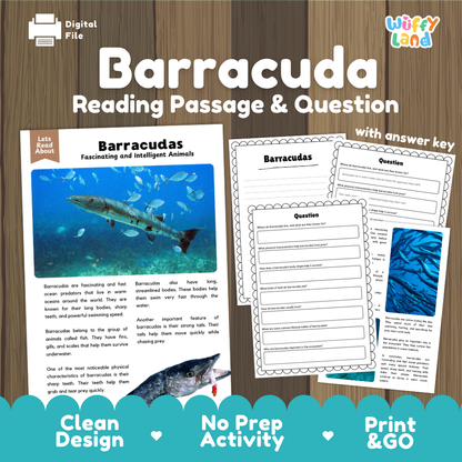 Barracuda Reading Passage and Comprehension Questions with Answer Key Worksheets