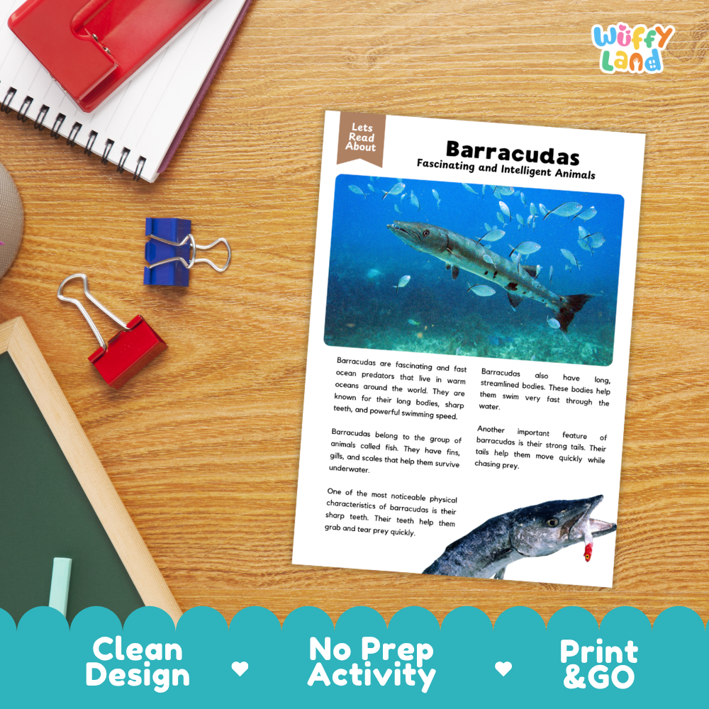 Barracuda Reading Passage and Comprehension Questions with Answer Key Worksheets