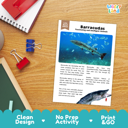Barracuda Reading Passage and Comprehension Questions with Answer Key Worksheets