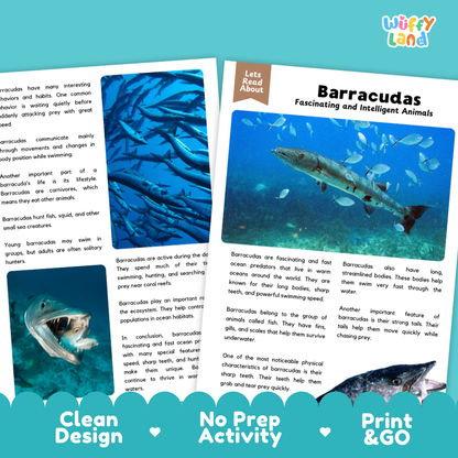 Two educational activity cards for learning about barracudas, displayed on a teal background with the text 'Wiffly land' and feature badges indicating 'Clean Design', 'No Prep Activity', and 'Print & Go'.