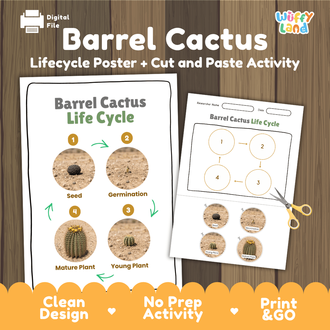 Barrel Cactus Life Cycle Poster and Cut and Paste Worksheet Activity