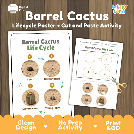 Barrel Cactus Life Cycle Poster and Cut and Paste Worksheet Activity