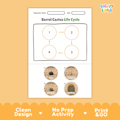 Barrel Cactus Life Cycle Poster and Cut and Paste Worksheet Activity