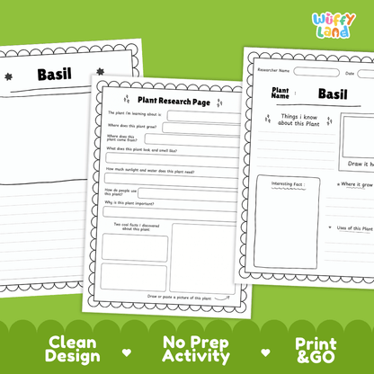 Basil Plant Research Page Worksheets and Fact Sheet