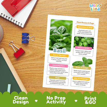 Basil Plant Research Page Worksheets and Fact Sheet