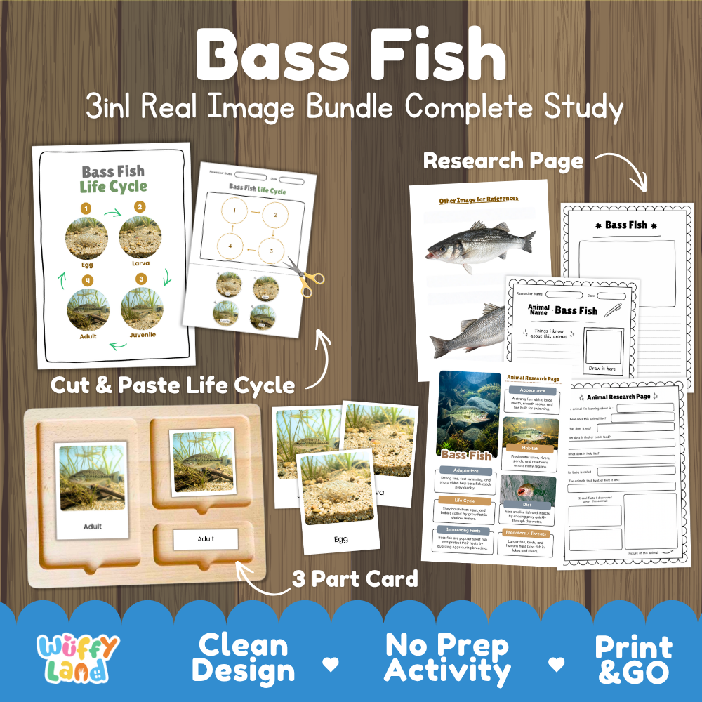 Bass fish 3-in-1 real image bundle complete study cover showing cut and paste life cycle, 3 part cards, and research pages   