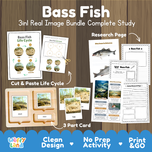 Bass fish 3-in-1 real image bundle complete study cover showing cut and paste life cycle, 3 part cards, and research pages   