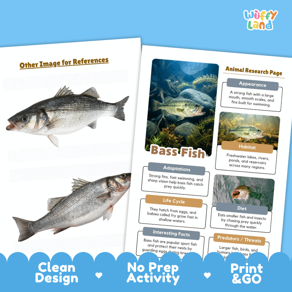 Bass Fish Animal Research Page and Worksheets