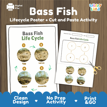 Bass Fish Life Cycle Poster and Cut and Paste Worksheet Activity