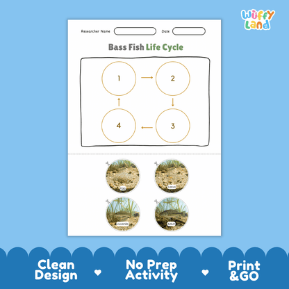 Bass Fish Life Cycle Poster and Cut and Paste Worksheet Activity