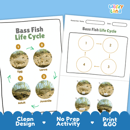 Bass Fish Life Cycle Poster and Cut and Paste Worksheet Activity