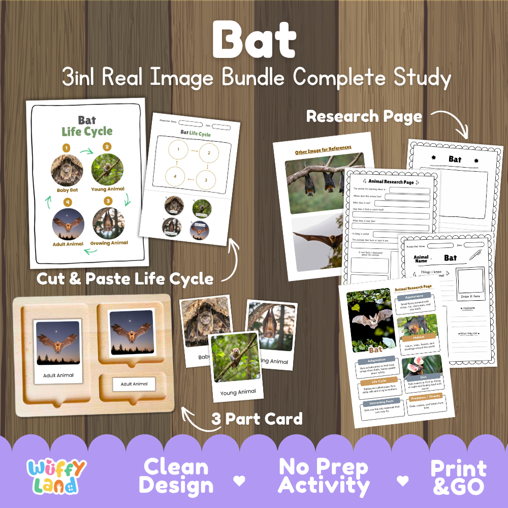 Bat 3-in-1 real image bundle complete study cover showing cut and paste life cycle, 3 part cards, and research pages