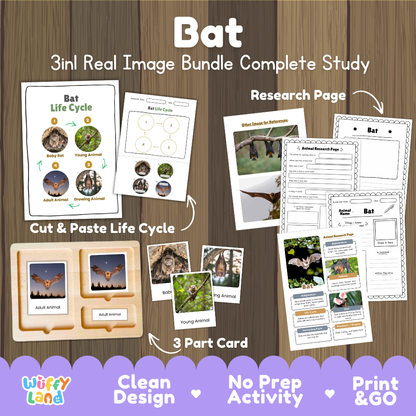 Bat 3-in-1 real image bundle complete study cover showing cut and paste life cycle, 3 part cards, and research pages