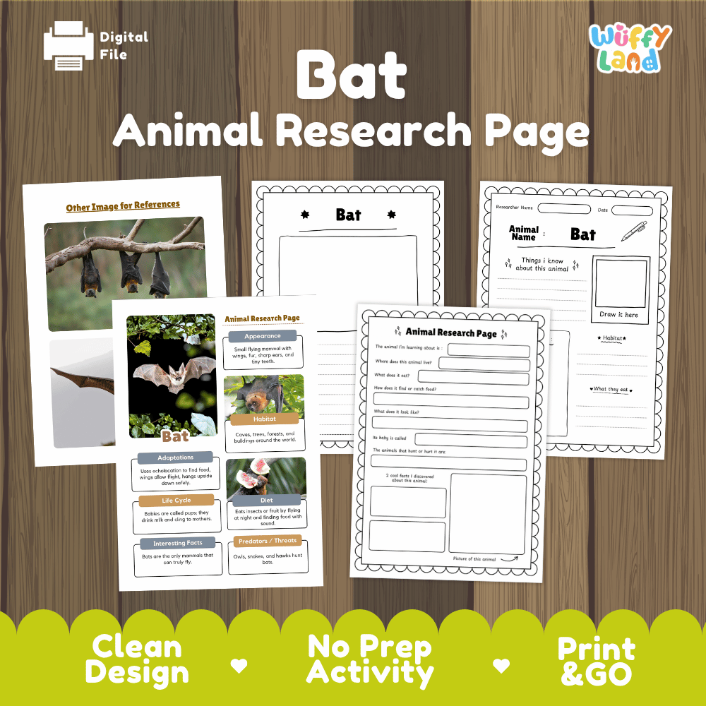 Bat Animal Research Page Worksheets