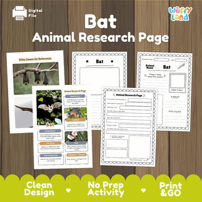 Bat Animal Research Page Worksheets