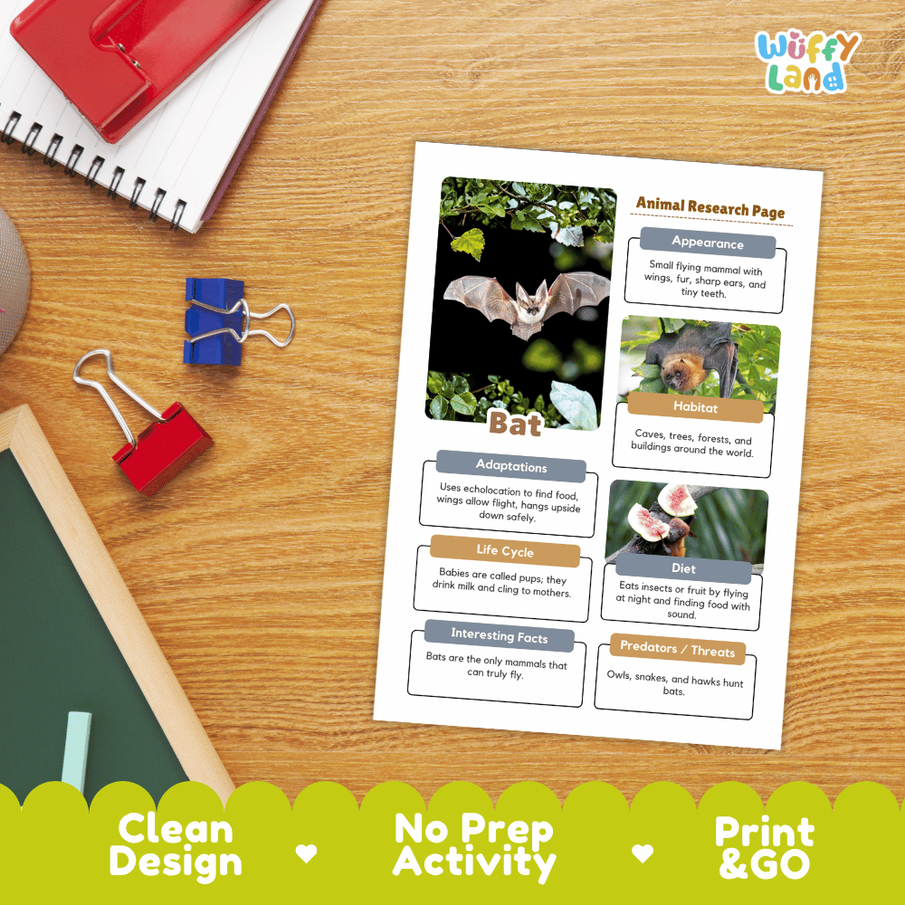 Bat Animal Research Page Worksheets