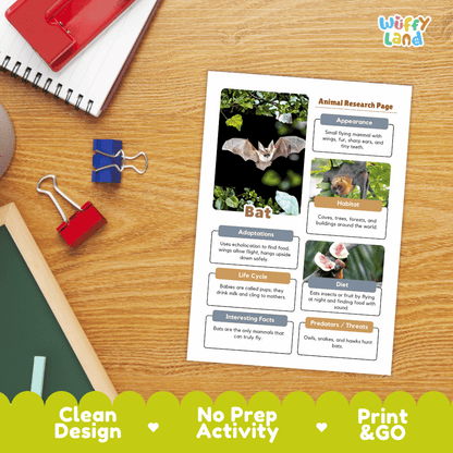 Bat Animal Research Page Worksheets