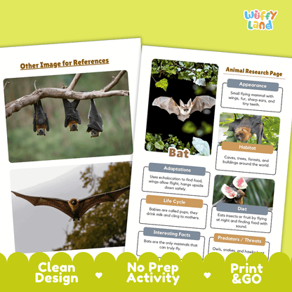 Bat Animal Research Page Worksheets