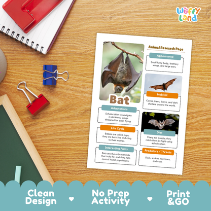 Bat Animal Research Project Worksheets and Fact Sheet
