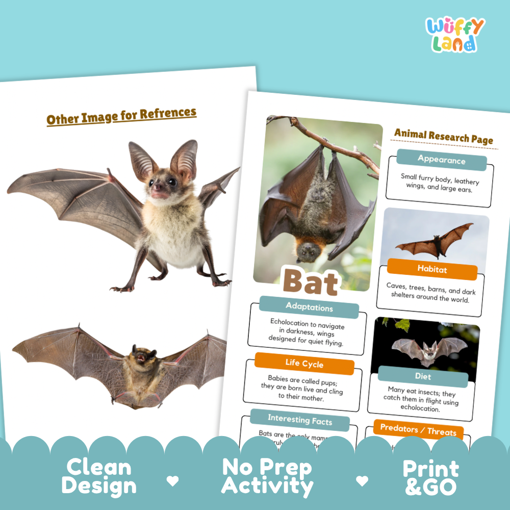 Two educational activity sheets about bats from Wiffly Land, displayed on a light blue background with promotional text at the bottom highlighting clean design, no prep activity, and print & go use.