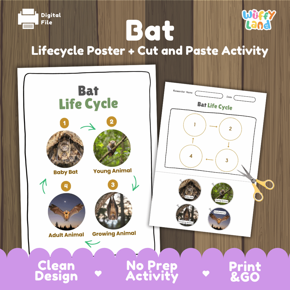 Bat Life Cycle Poster and Cut and Paste Activity Worksheets