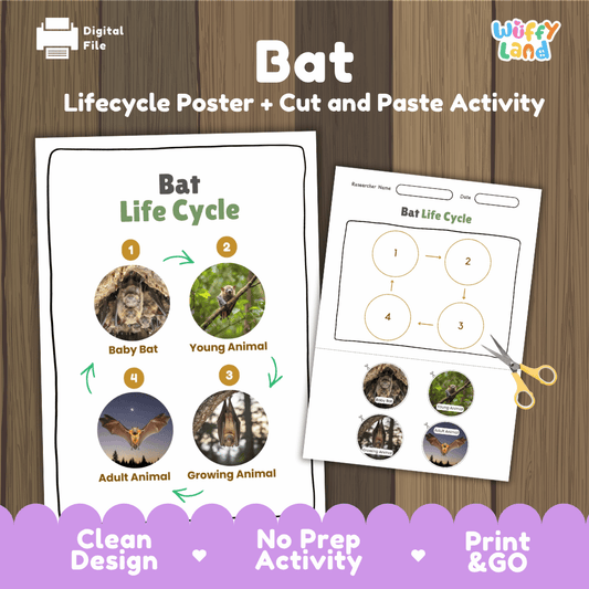 Bat Life Cycle Poster and Cut and Paste Activity Worksheets