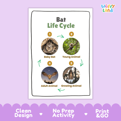 Bat Life Cycle Poster and Cut and Paste Activity Worksheets