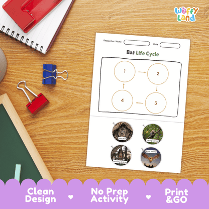 Bat Life Cycle Poster and Cut and Paste Activity Worksheets