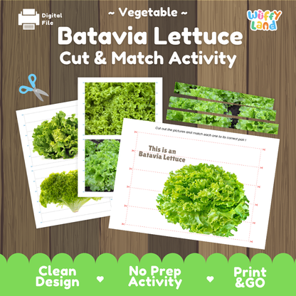 Batavia lettuce cut and match activity cover showing printable fine motor puzzle sheets and vegetable photographs