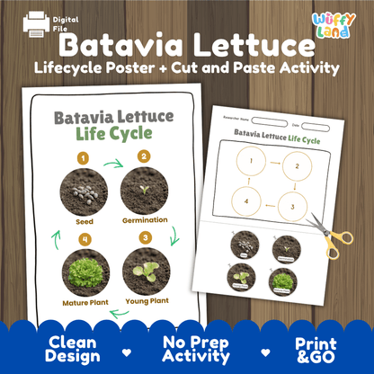 Batavia lettuce plant life cycle educational printable pack cover showing visual reference poster and cut and paste sequencing worksheet with real photography