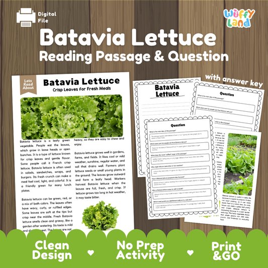 Batavia lettuce reading comprehension passage and questions printable activity pack with answer key for elementary students