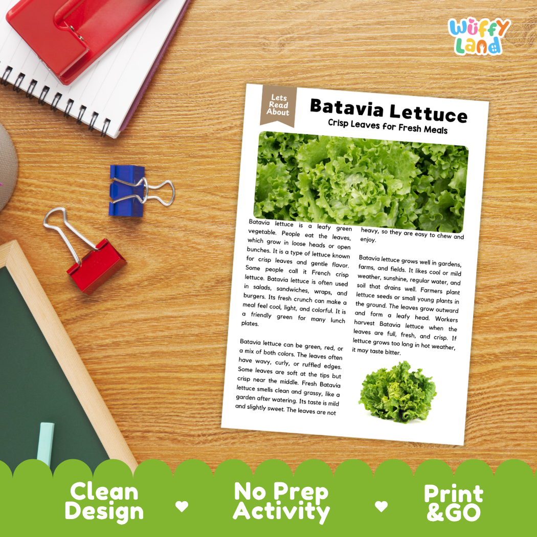 Student reading comprehension worksheet with short-answer questions and lined sections about Batavia lettuce