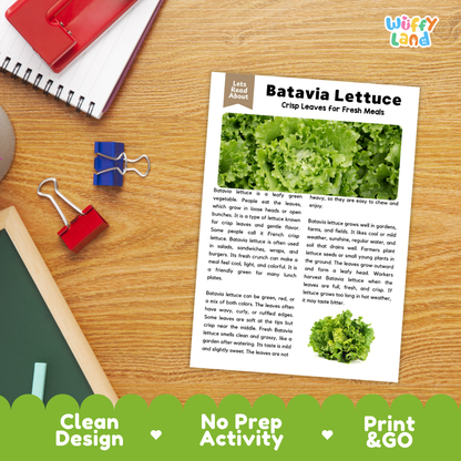 Student reading comprehension worksheet with short-answer questions and lined sections about Batavia lettuce