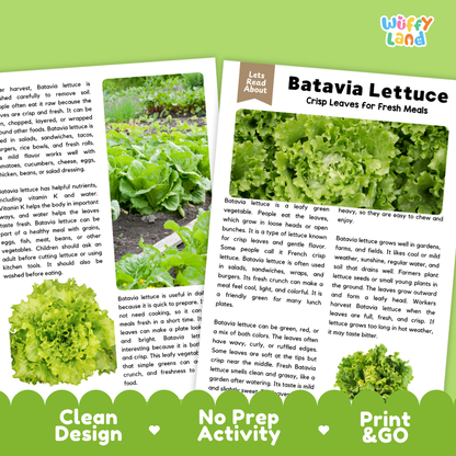 Teacher answer key page showing complete question solutions for Batavia lettuce reading comprehension practice