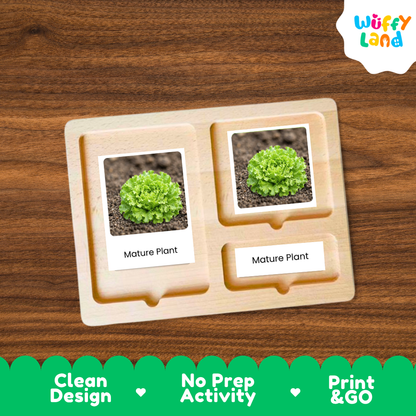 A wooden Montessori-style plant growing tray with two compartments, each holding a small labeled card that says 'Mature Plant' above a photo of a green lettuce-like plant. The tray is placed on a brown wood surface, with a white and green 'Wuffy Land' logo in the top right and a green banner at the bottom with marketing text.