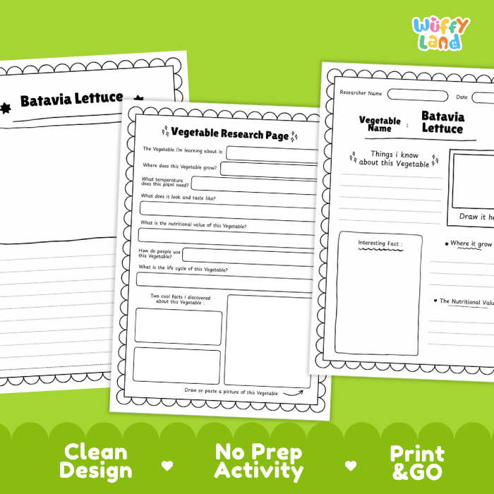 Batavia Lettuce Vegetable Research Project Worksheets and Fact Sheet
