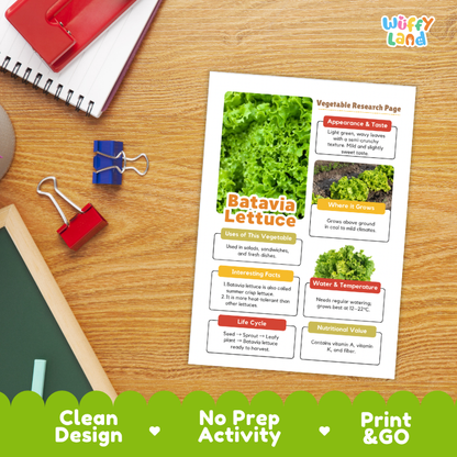 Batavia Lettuce Vegetable Research Project Worksheets and Fact Sheet