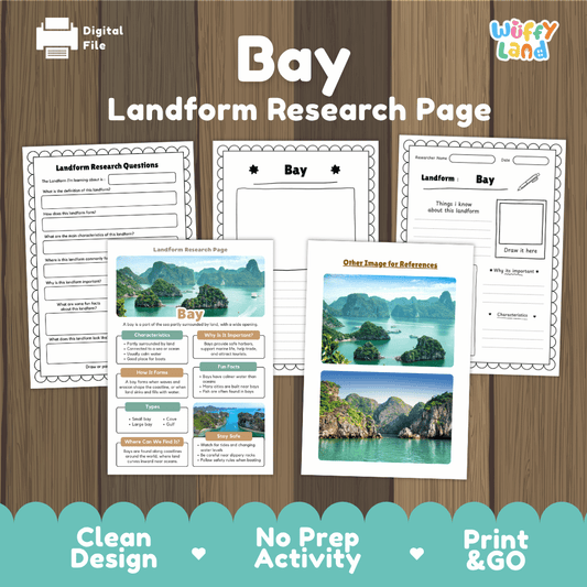 Bay Landform Research Page Worksheets and Reading Activity