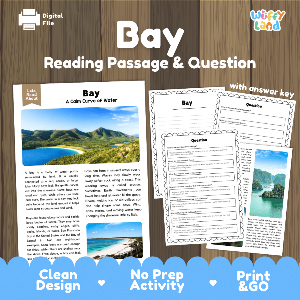 Digital reading activity bundle for 'Bay' by Wiffly Land, featuring a reading passage titled 'Bay: A Calm Curve of Water' with a landscape photo, worksheet pages with comprehension questions, and an answer key, all displayed on a wood-grain background with promotional text at the bottom.