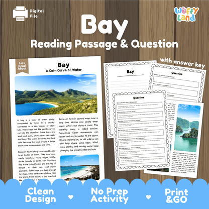 Digital reading activity bundle for 'Bay' by Wiffly Land, featuring a reading passage titled 'Bay: A Calm Curve of Water' with a landscape photo, worksheet pages with comprehension questions, and an answer key, all displayed on a wood-grain background with promotional text at the bottom.