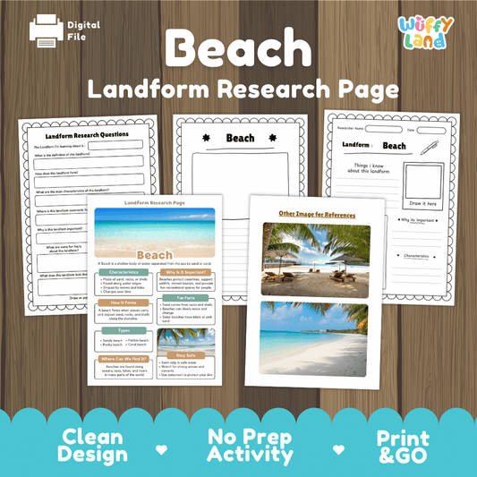 Beach Landform Research Page Worksheets and Reading Activity