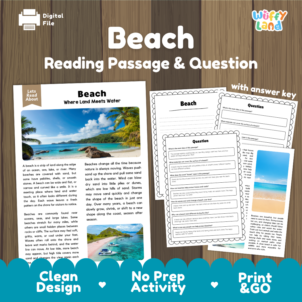 Beach Reading Passage and Comprehension Questions with Answer Key Worksheets