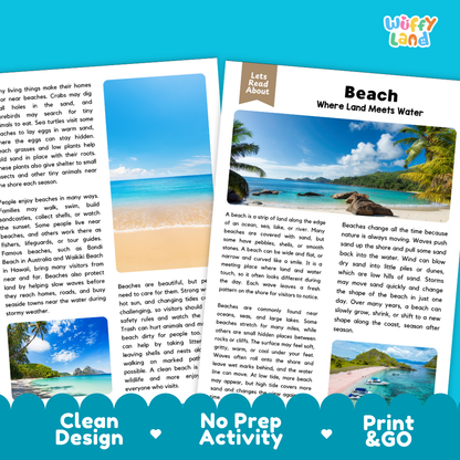Beach Reading Passage and Comprehension Questions with Answer Key Worksheets