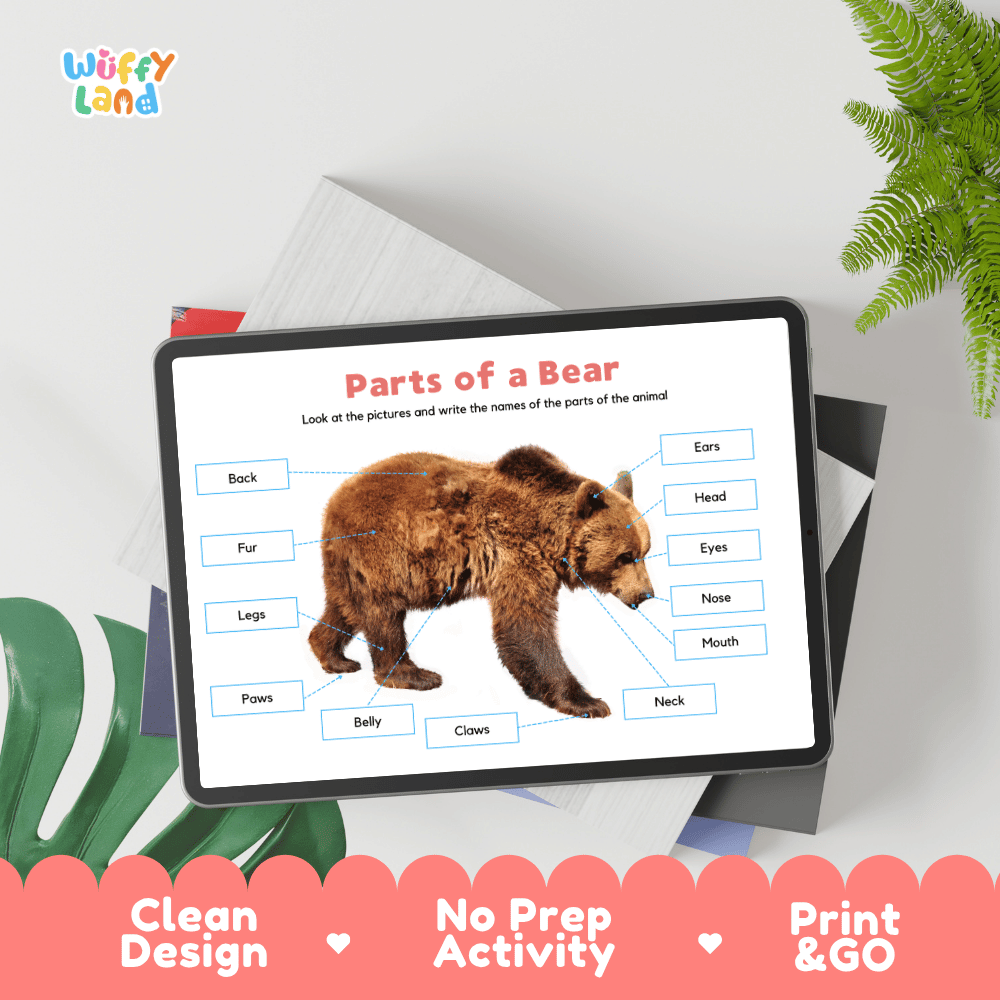 Educational cut and paste bear anatomy worksheet with printable word cutout tiles for head, ears, paws, claws, and fur