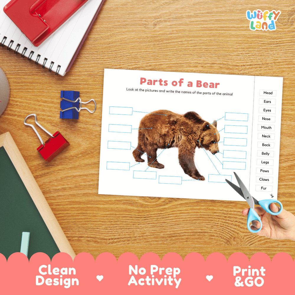 Printable animal body parts worksheet showing a realistic brown bear with blank labeling boxes and a vocabulary word bank for writing practice